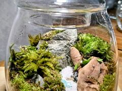 ���p�R����̑ۂނ����ւ̓��e�ʐ^1