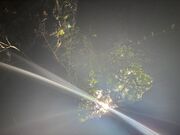 ���̂����CAVE OKINAWA�̓��e�ʐ^2