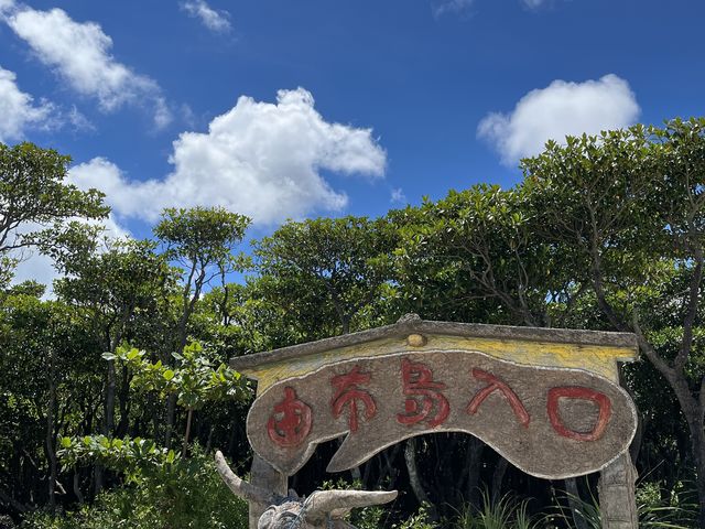 �R�z������_���d�R�ό��t�F���[