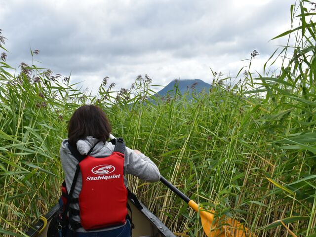 �䂯�䂯�T�����I_�����l�C�`���[�Z���^�[