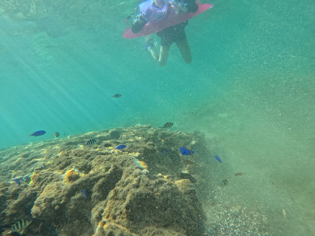 ����Ȃɋ߂��ŋ������邱�Ƃ��ł��܂����I
���̎ʐ^�̓K�C�h���񂪎B���Ă��������܂����B_�w�q���̗V�я�x �}�����V���b�v��