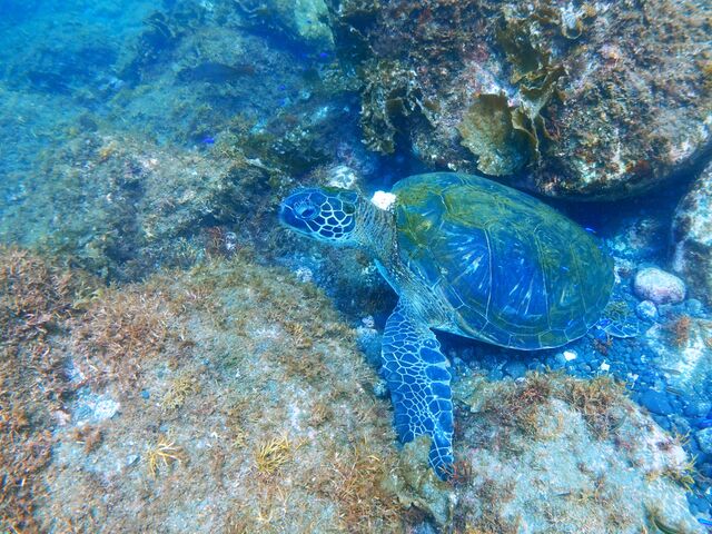 ߔŃA哇SE~KVɂȂĂ܂BclXL_CrOɂāB_ɓ哇