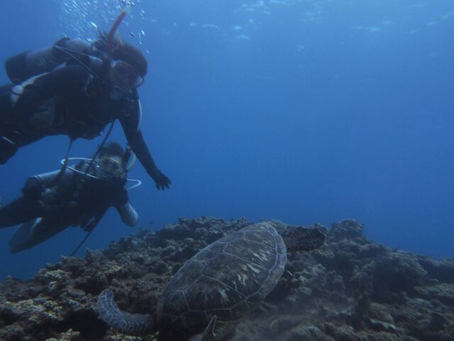 �T_�_�C�r���O���J�k�[�X�蒃��