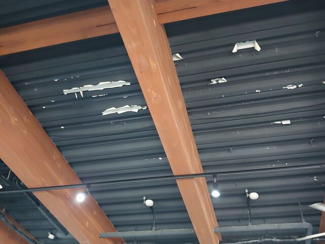 TZbg[j DEJIMA_TZbg[j DEJIMA