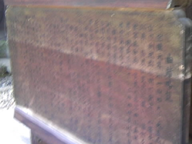 Tv̏P̕(PA@@a̕)̓eʐ^3