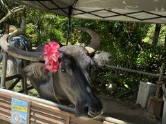 s[`̔dRόtF[ւ̓eʐ^4