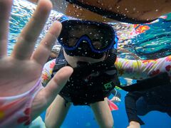 ̃}Nu Gigiւ̓eʐ^1