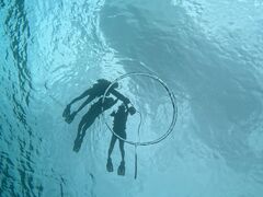 ݂SHISHIΊ_ւ̓eʐ^1