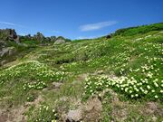 ˂ނ炳̃gEVR̓eʐ^2