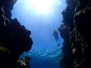 ���E����̃`�����u���[�̓��e�ʐ^3