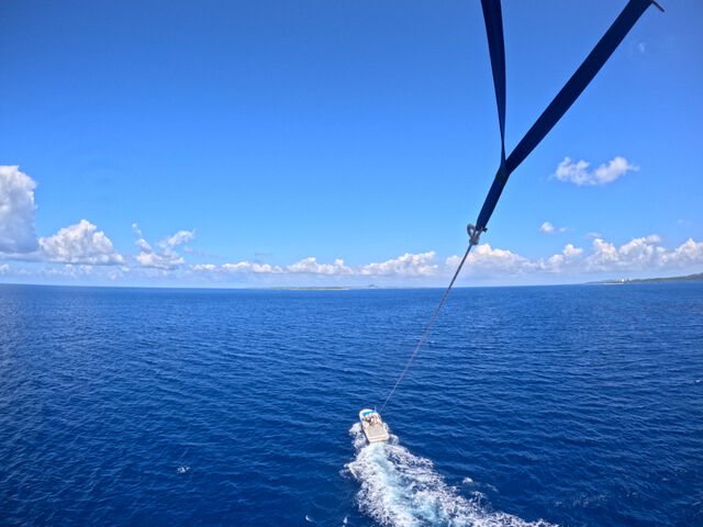 ��i�ł����I_marine shop PETREL