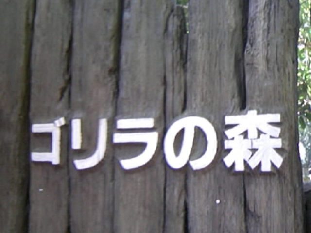 ��쓮�����S�����̐X�ƃR���{_��쓮���� �S�����E�g���̏Z�ސX