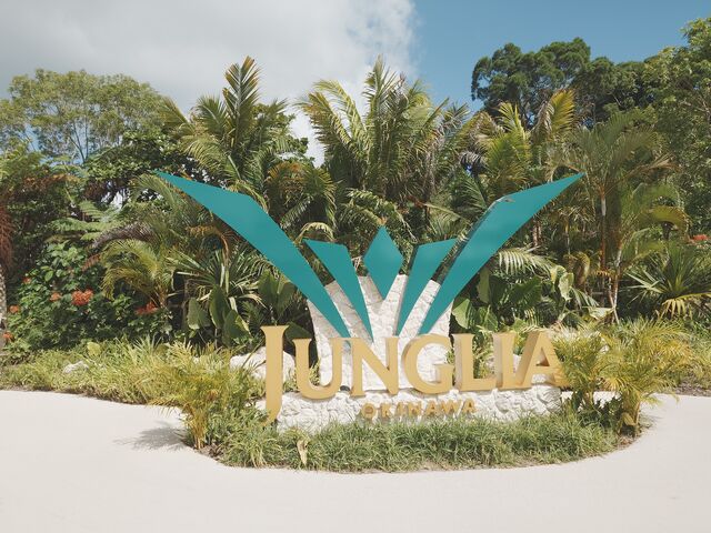 �������Ă����Ɏʐ^�X�|�b�g������܂��B�����Ă����͍��ނ̂ŁA�A�肪���ɎB�e�ł悢�Ǝv���܂��B_JUNGLIA OKINAWA(�W�����O���A����)