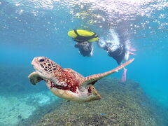 ic̏SҐ{ÓVm[POcA[ւ̓eʐ^1