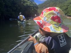 ˂΂̃GRcA[vJvJւ̓eʐ^1