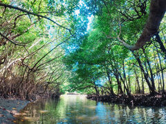 tani̐Ί_ ADVENTURE PiPiւ̓eʐ^1