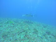 tn822̃_CrOVbv@OHANA̓eʐ^3