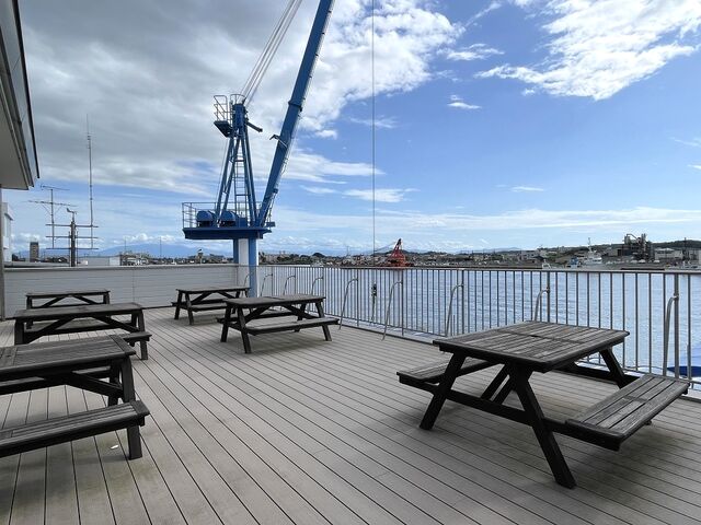 �Q�K�ɂ���e���X_�������C�N�s��