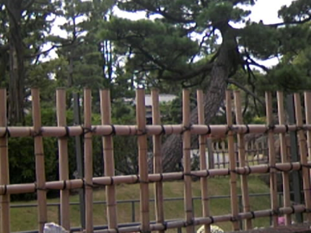旧東海道松並木】アクセス・営業時間・料金情報 - じゃらんnet