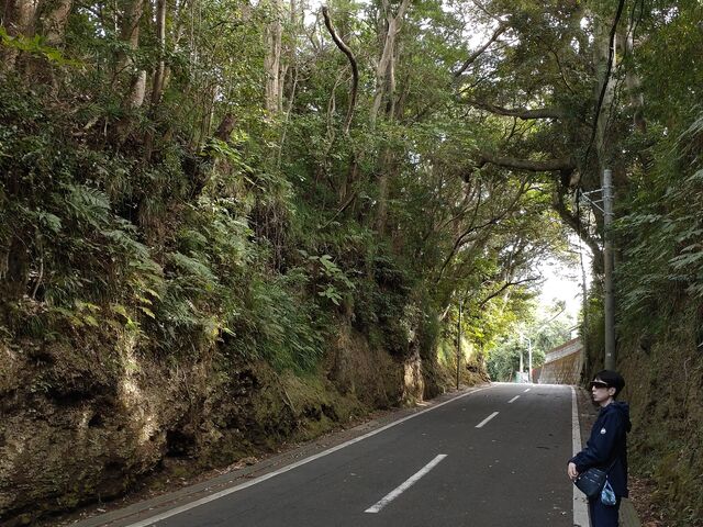 100m��̉����̐ؒʂ�_��Â̐ؒʂ�