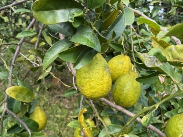 �������~������_FARMaSEA GARDEN URAGA