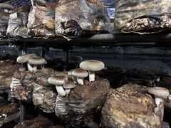 ܂̒OH_₫t@[ւ̓eʐ^1