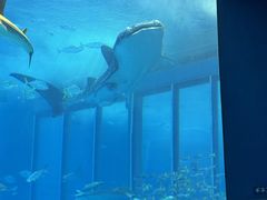 �������C�����ق̎ʐ^1