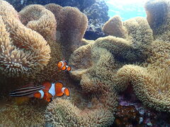 SUNSHINE MARIN {Ó̎ʐ^1