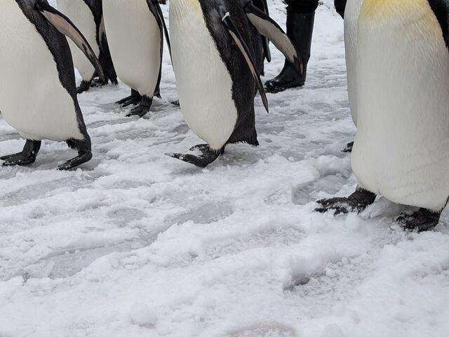 ����������̃����_�[�c�A�[�Y�̓��e�ʐ^1