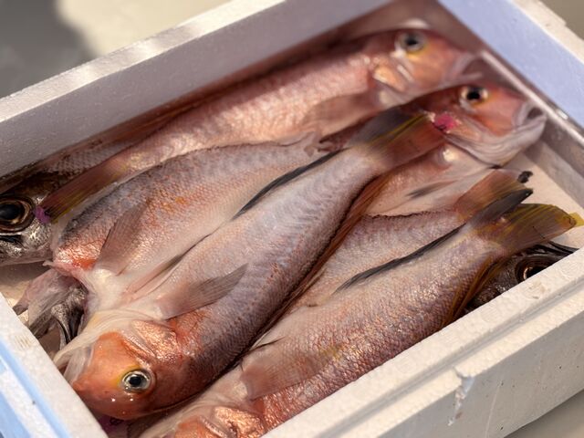 �I�����������Ђ���_����