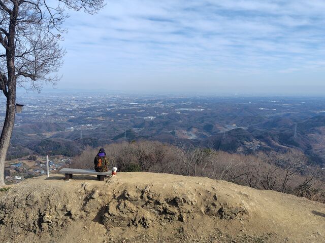 �J�Y����̍c��R�W�]��̓��e�ʐ^5