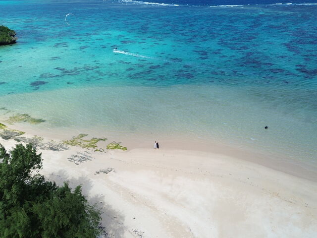 �h���[���ŎB���Ē������ʐ^�I�ō��̎ʐ^���������I�I_South Blue