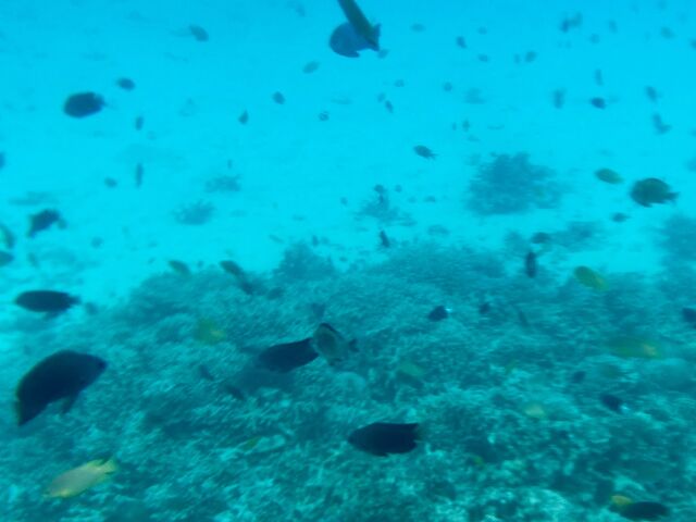 ��������̋��I_�����C���m