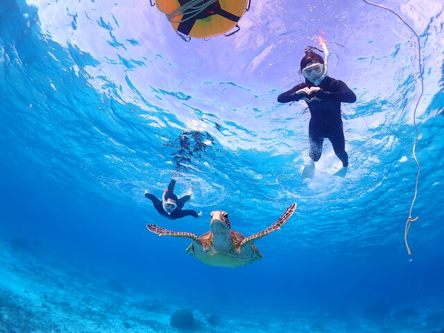 �E�~�K���Ɖj�����I_CHAMP TOUR �{�Ó�