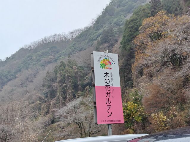 �؂̉ԃK���e��