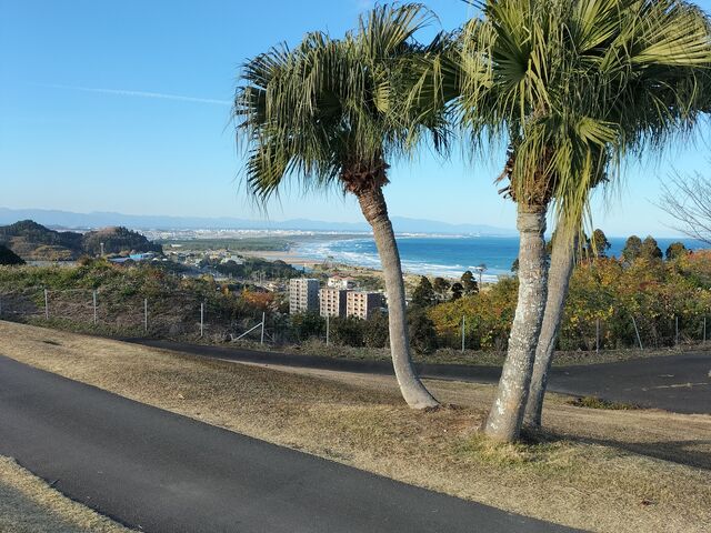 ���ɂ���񂳂�̐��S���t��y���̓��e�ʐ^1