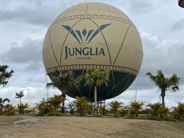 ����͕��������ăo���[���͔�΂Ȃ������̂�������Ǝc�O�ł���_JUNGLIA OKINAWA(�W�����O���A����)