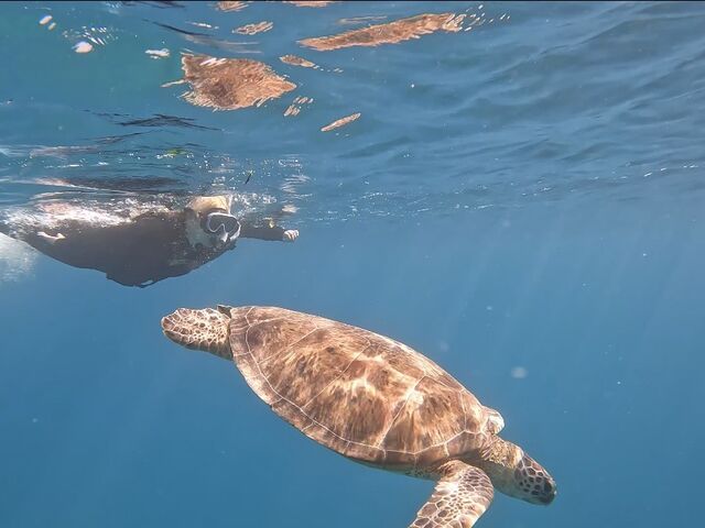 �E�~�K��_South Blue