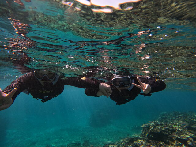 �V���m�[�P�����O_South Blue