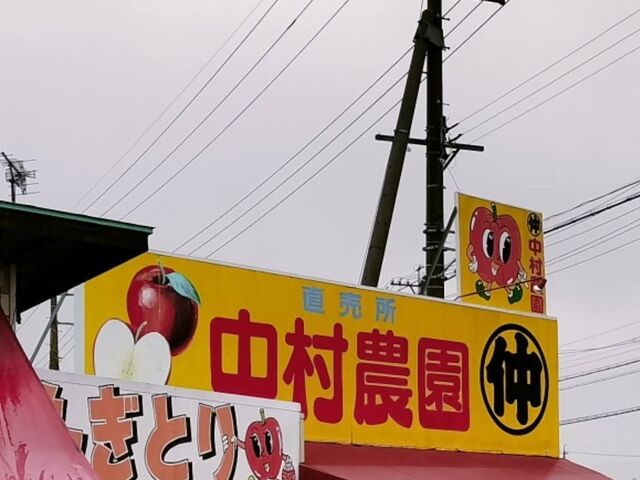 �X��_�����_��