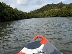 ���܂񂾂܂�̎ʐ^1