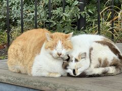 ���`������̍����ւ̓��e�ʐ^1