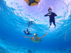 ���[�������CHAMP TOUR �{�Ó��ւ̓��e�ʐ^1