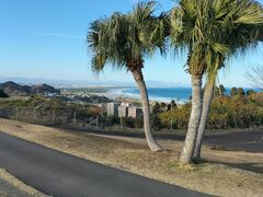 ���ɂ���񂳂�̐��S���t��y���ւ̓��e�ʐ^1