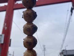 �Ⴞ��܂���̐��ۈ�א_�Ђւ̓��e�ʐ^1