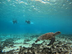 CHURA�{�Ó��̎ʐ^1