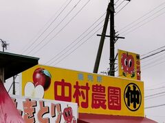 �����_���̎ʐ^1