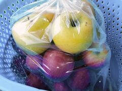 �����_���̎ʐ^2