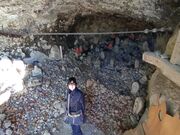 ��������̊�䓰�ϐ����䓰�̓��e�ʐ^4