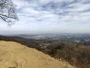 �J�Y����̍c��R�W�]��̓��e�ʐ^2